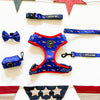 American Doxie Stars and Stripes Dog Collar