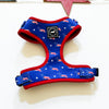 American Doxie Stars and Stripes 4-Piece Bundle Set (30% Savings)