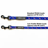 American Doxie Stars and Stripes Dog Leash