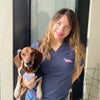 Signature Doxie Pink Logo V-Neck Tee Shirt
