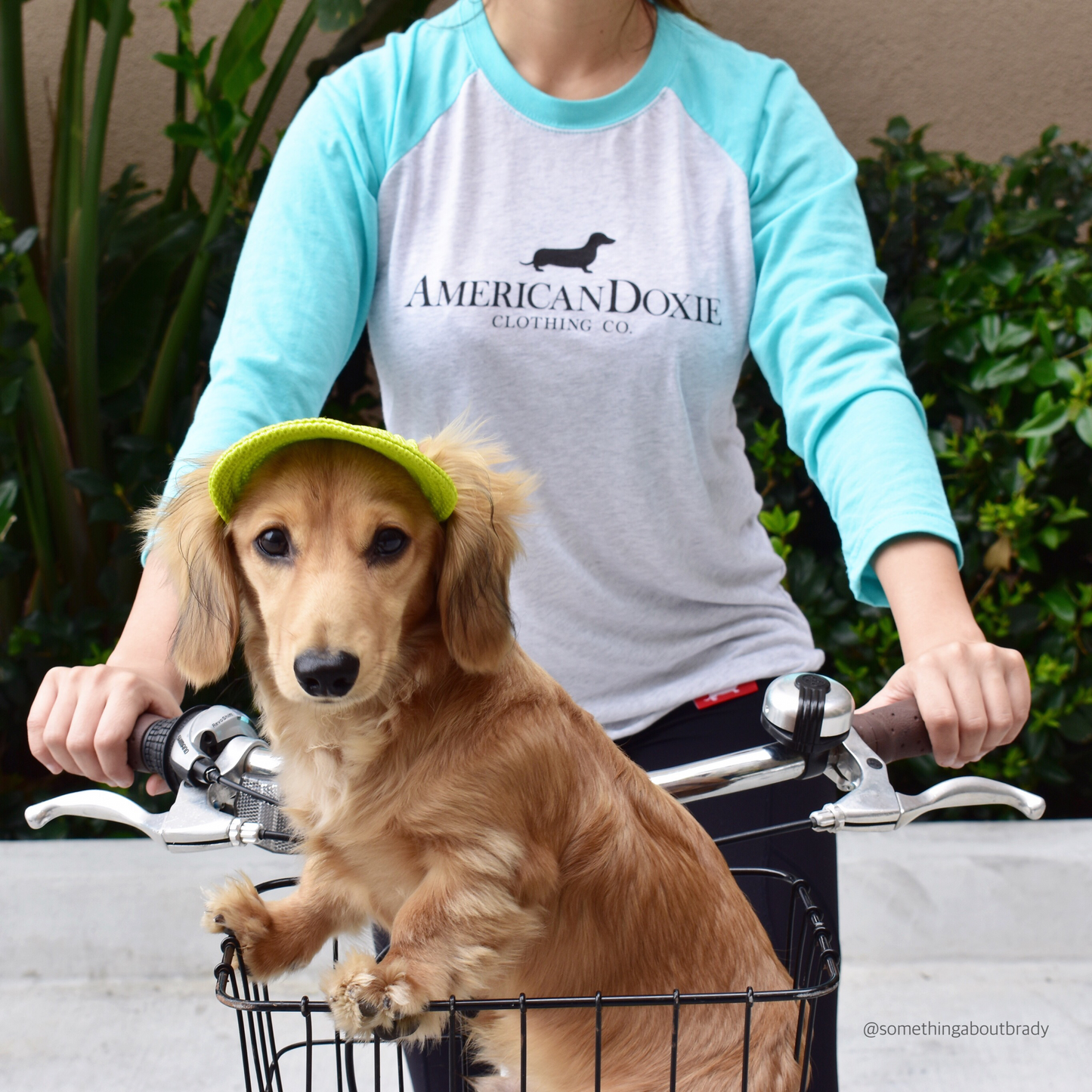 American Doxie Classic 3/4 Baseball Shirt