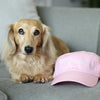 American Doxie "Dog Mom" Baseball Cap