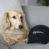 American Doxie "Dog Mom" Baseball Cap