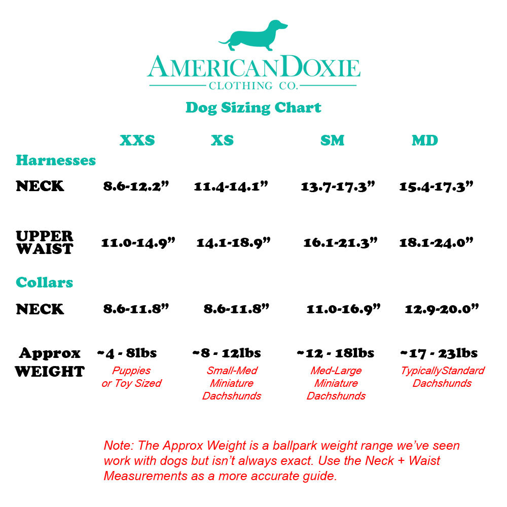 American Doxie Stars and Stripes Dog Collar