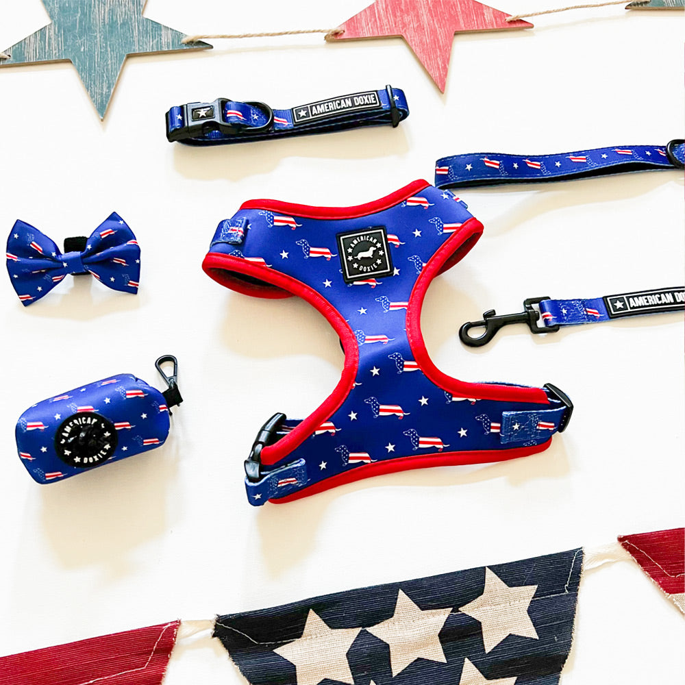 American Doxie Stars and Stripes Dog Collar