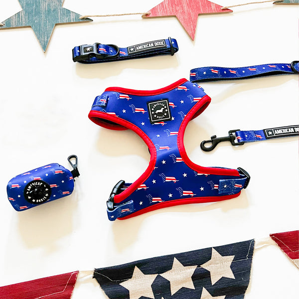 American Doxie Stars and Stripes 4-Piece Bundle Set (30% Savings)