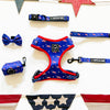 American Doxie Stars and Stripes Dog Leash