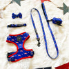 American Doxie Stars and Stripes Dog Collar