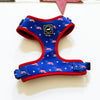 American Doxie Stars and Stripes Adjustable Dog Harness