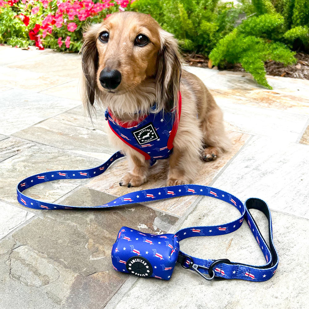 American Doxie Stars and Stripes Adjustable Dog Harness
