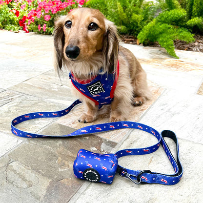 American Doxie Stars and Stripes Adjustable Dog Harness