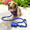 American Doxie Stars and Stripes Adjustable Dog Harness