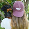 State Pride Series Baseball Caps